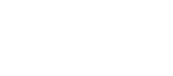 PDS Digital Agency